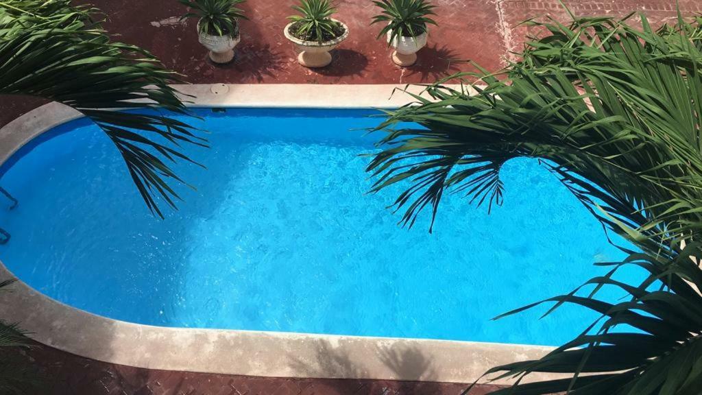 Arcoiris Share Apartment Bavaro プンタ・カナ エクステリア 写真